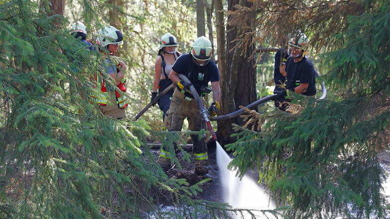 Feuerwehrkameraden beim Waldbrand am Pferdeberg in Oybin.