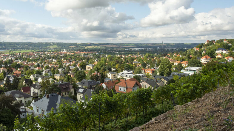 Viele Bäume heben sich aus dem Stadtbild der Niederlößnitz beim Blick vom Weinberg Friedensburg hervor. Sie stehen in den Gärten.