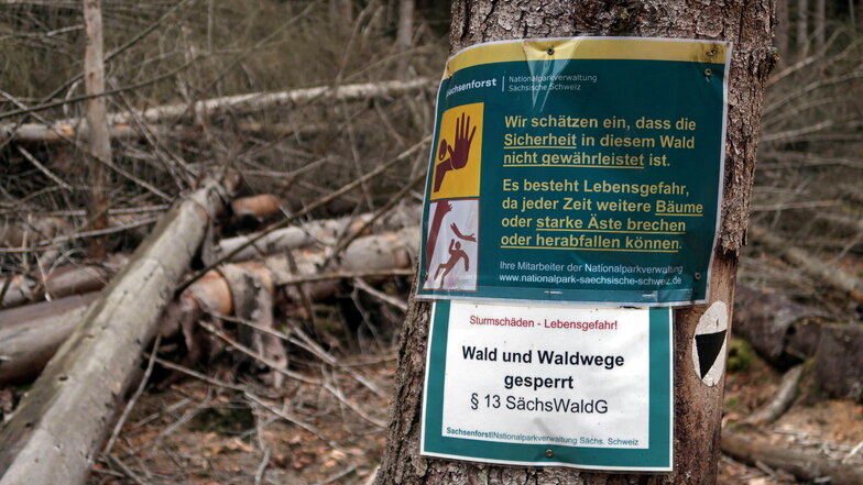 Abzweig in die Löfflerschlüchte im hinteren Teil des Großen Zschands: Lebensgefahr für Waldbesucher.