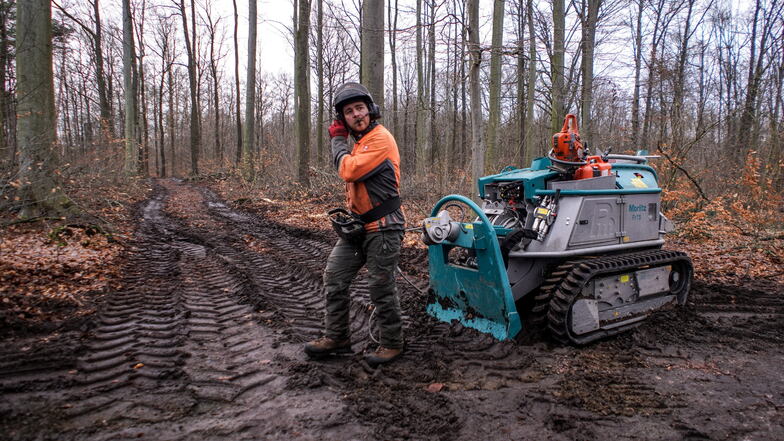 Moritz, die Forstraupe, erleichtert das Arbeiten bei der Baumfällung für Tom Klinder von der Waldpflege GmbH Grillenburg.