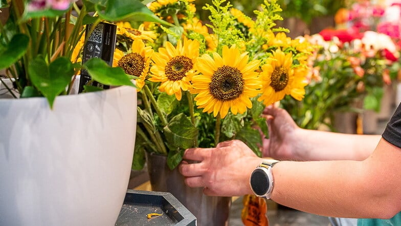 Symbolfoto: Floristinnen im Kreis Meißen werden unterbezahlt, findet die Gewerkschaft IG BAU.