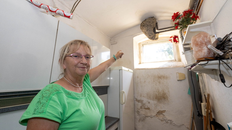 Es ist vergleichsweise sehr groß, reichlich bewohnt und irgendwie bedrohlich: Martina Knopp zeigt auf das Wespennest, das sich im Abstellraum am Fenster eines Wohnhauses in Großenhain angesiedelt hat.