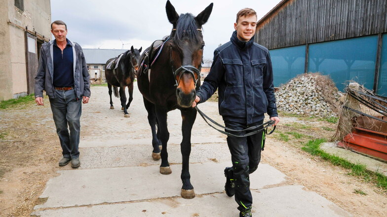 Jan Laurin Suchy ist 16 und gemeinsam mit seinem Bruder Luis auf dem Miltitzer Reiterhof zum Osterreiter-Unterricht.