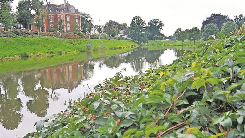 Erbstück der Sächsischen Landesgartenschau: Röderwasser prägt das Stadtbild.