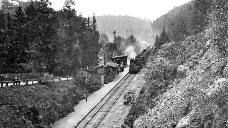 Ankunft eines Zuges am Haltepunkt Rohnau (Trzciniec Zgorzelecki) im Jahr 1907. Nach dem Zweiten Weltkrieg wurden die Gebäude und Anlagen geplündert und verfielen. So ist die früher gern von Rosenthalern genutzte Station heute kaum noch als solche erken