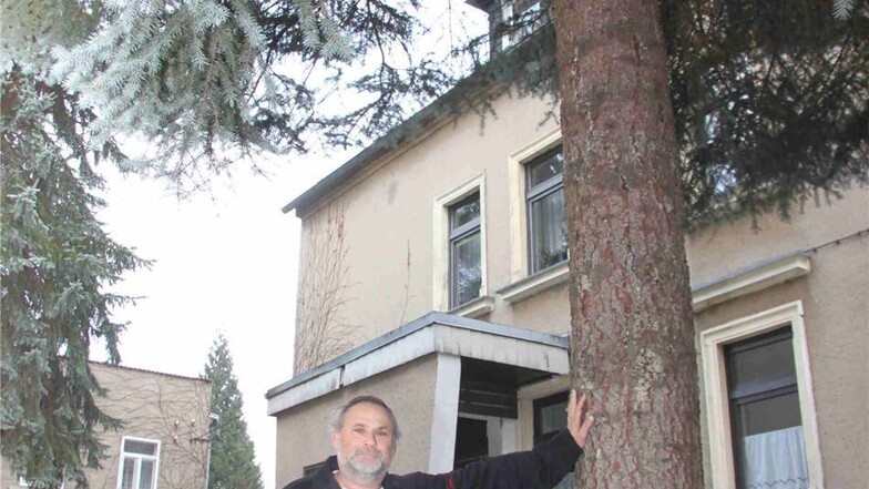 Lutz Hartmann ist der Sponsor von Bischofswerdas Weihnachtsbaum. Das Bild entstand, kurz bevor die Blaufichte bei ihm zu Hause gefällt wurde.