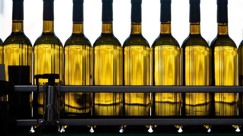 Weinflaschen gefüllt mit Weißwein stehen auf einer Abfüllanlage. In Deutschland  ist die Produktion von Wein deutlich gestiegen.