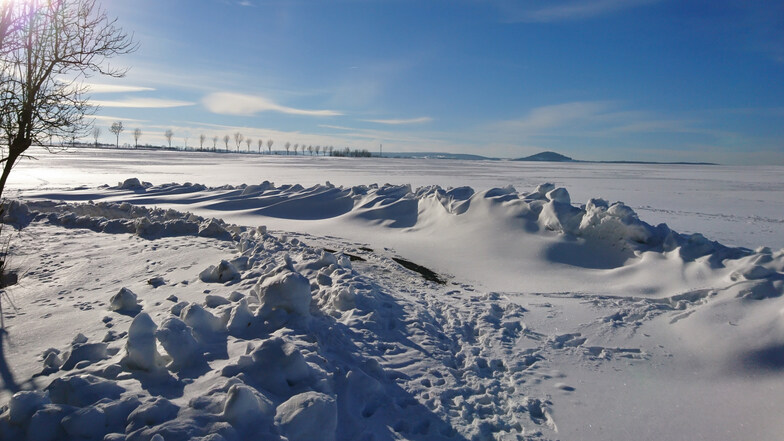 Miniatur-Schneegebirge: Diana Schulz aus Bärenstein fühlte sich bei der Aufnahme dieses Fotos „wie auf einem anderen Planeten“. Entstanden ist das Bild an einem Waldrand am Ortsausgang von Liebenau.