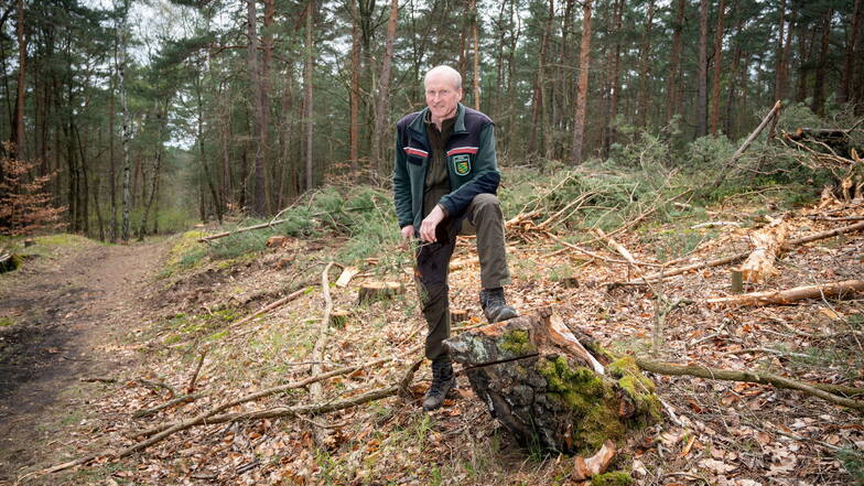 In der Heide wurden bereits Bäume auf den Flächen gefällt, wo die Leitungen verlaufen werden. Heiko Müller von Sachsenforst zeigt einen freigeschnittenen Bereich.