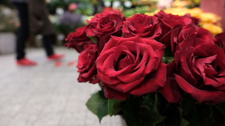 Auch in Leipzig gingen am Valentinstag viele Rosen über die Ladentische.