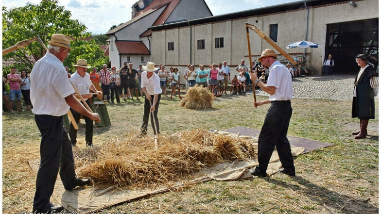 Beim Dresch- und Handwerkertag im Schloss Schleinitz können die Besucher auch selbst aktiv werden.