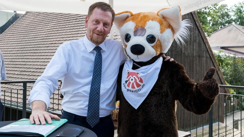 Auch Ministerpräsident Michael Kretschmer nimmt den roten Panda in seinen Arm. Er ist das Maskottchen vom  Tierpark Görlitz.