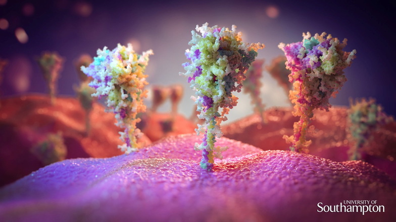 Forscher der Universität Southampton haben mit mikroskopischen Fotos sichtbar gemacht, wie der Astrazeneca-Impfstoff in menschlichen Zellen wirkt (künstlerische Darstellung).