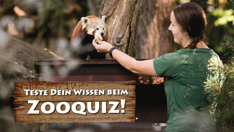 Jetzt Freikarten für den Zoo Dresden gewinnen!
