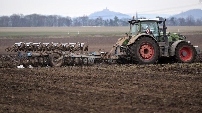Sachsen gibt Landwirten Geld für nachhaltige Bodenbewirtschaftung