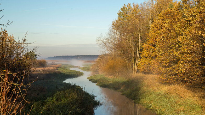 Die Natur lässt sich in diesen Herbsttagen am Stausee Quitzdorf genießen, wie hier am Einlauf des Schwarzen Schöps. Seit einem Monat ist das Betreten der Ufer wieder erlaubt.