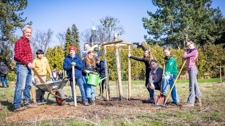 Eckehard Hensel (l.) und Schüler der 5b von der Kreischaer Oberschule pflanzen einen Walnussbaum.