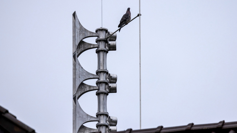 Still geblieben? Eine Taube sitzt auf einer elektronischen Sirene. Am Donnerstag löste das Bundesamt für Bevölkerungsschutz und Katastrophenhilfe (BBK) landesweit Warnungen aus.