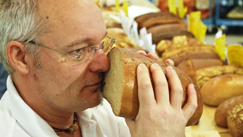 Michael Isensee vom Institut für Qualitätssicherung von Backwaren schnuppert an einem Mischbrot. Regelmäßig veranstaltet das Institut in Görlitz Brotprüfungen, der sich viele Bäcker aus der Region stellen. Oft ist der Prüfer angetan von der Qualität.