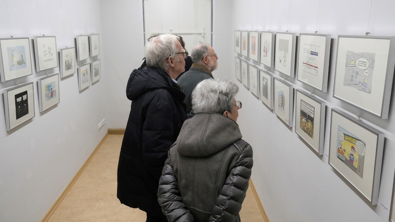 80 Karikaturen sind jetzt im Radeburger Heimatmuseum ausgestellt.