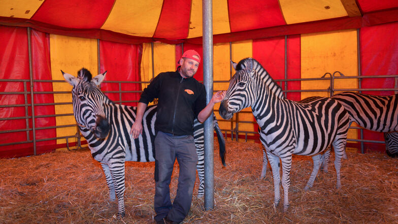 Auch wenn nur sechs Tiere in der Show auftreten, ist der Tod des polnischen Zebras Cesar für den Dompteur Jiri Berousek ein harter Verlust.
