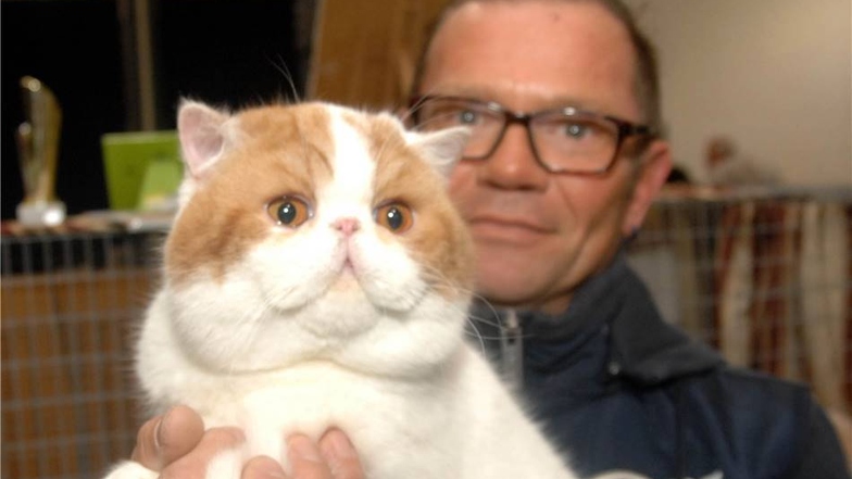 Maik Marschner aus Neukirch mit seiner Exotic-Shorthair-Katze.
