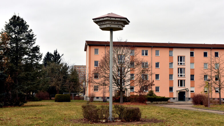 Mauersegler und Sperlinge zählen zur Zielgruppe für den neuen Wohnraum im WK VI – der Artenschutzturm in der Armstrongstraße ist bezugsfertig.
