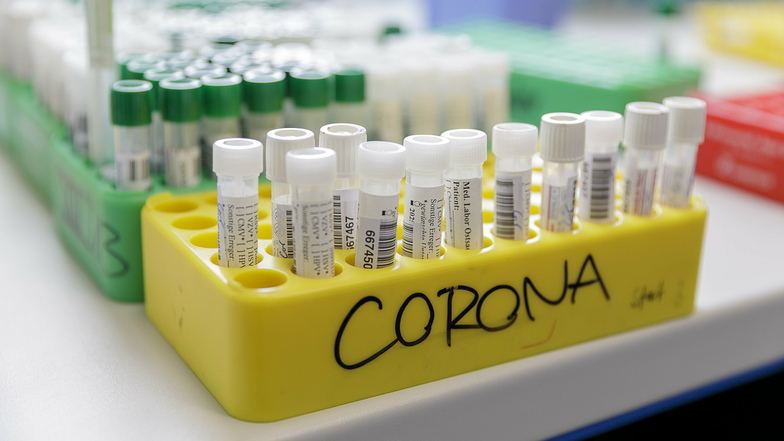 Symbolfoto: Am Freitag informierte der Landkreis über 264 neue Nachweise des Coronavirus, den höchsten Anstieg in dieser Woche.