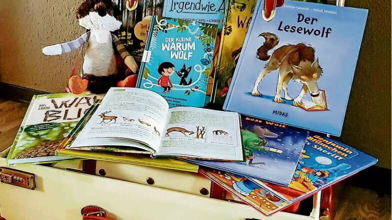 Mit einem mobilen Bücherkoffer ist Karsten Herden in Kitas und Grundschulen unterwegs. Er möchte die Kinder fürs Lesen begeistern und ihre Neugier wecken. Wegen Corona mussten viele Termine aber leider ausfallen.