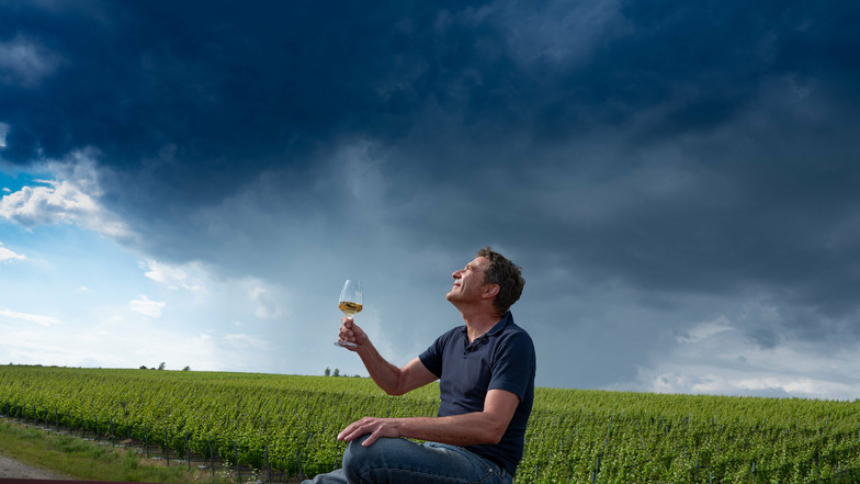Wolken über dem Wolkenberg – aber Regen fällt am Tagebaurand ganz selten. Sachsens Star-Winzer Martin Schwarz zaubert trotzdem sehr gute Weine aus dieser Gegend.