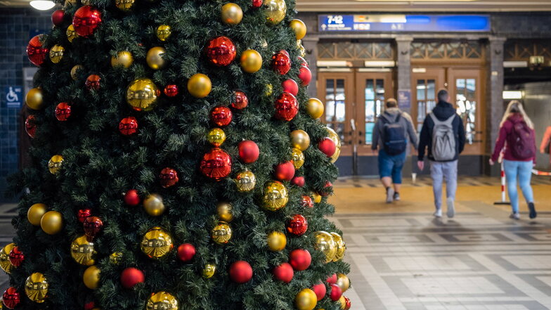 Kreis Görlitz: Energiekrise lässt Preise für Weihnachtsbäume steigen