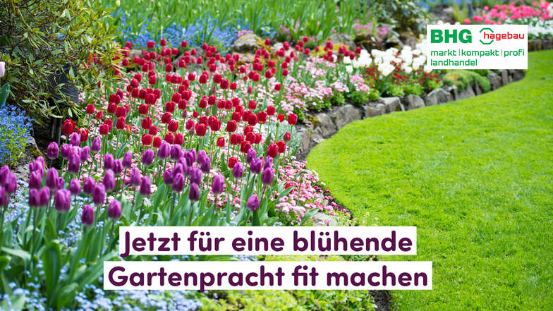Jetzt zum Frühjahrsmarkt am 27. April: Alles für Ihren blühenden Garten in Ihren BHG hagebau Standorten