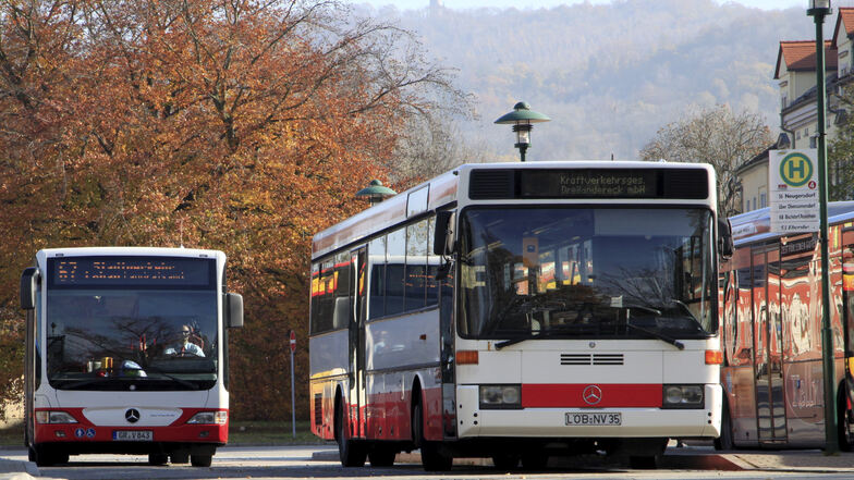 KVG-Busfahrer erhalten Jobangebote in Brandenburg