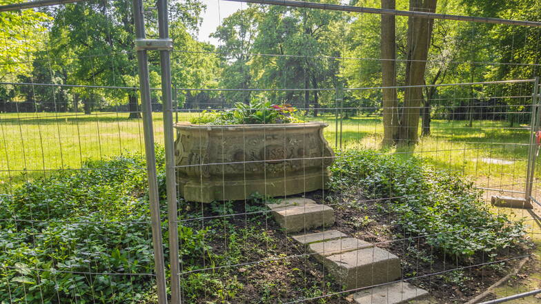 Der Wassertrog ziert seit Jahrzehnten den Riesaer Stadtpark. Zuletzt ist das Sandstein-Gefäß von einem Bauzaun umringt gewesen.