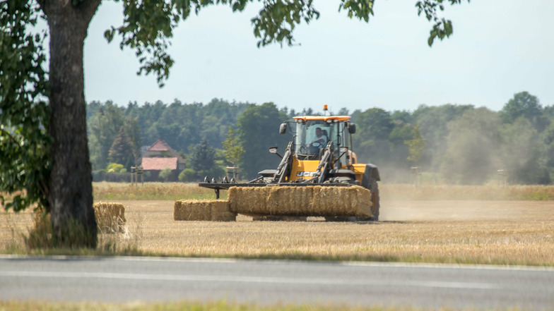 In Sachsen arbeiten immer weniger Menschen in der Landwirtschaft