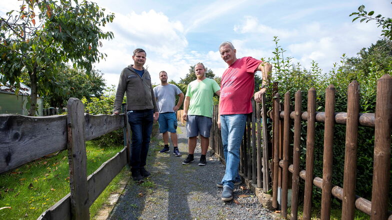 Jens Kocka, Marcel Tomzik, Paul Kocka und Rudolf Scherzer ( v.l.) gärtnern gerne in der Stadtmitte von Pirna. Sie sind Mitglieder der Gartensparte Fortschritt.