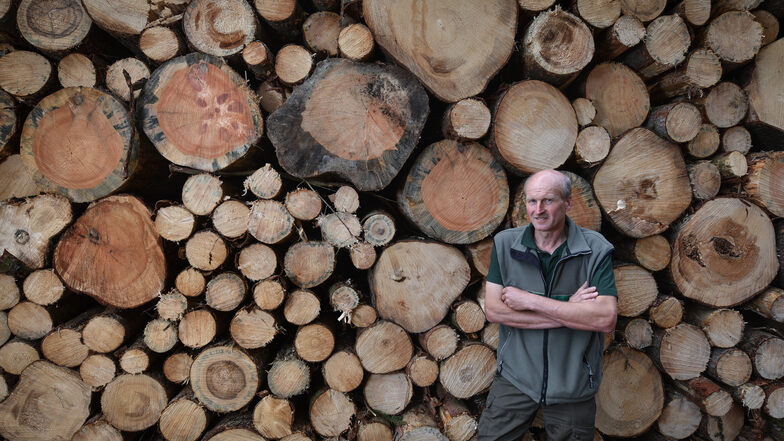 Ein Bild, das Forstdirektor Heiko Müller nicht gefällt: Viel zu viel Holz muss derzeit schnell raus dem Wald, weil es vom Borkenkäfer befallen ist.
