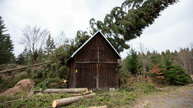 Seit Ende 2017 reihte sich im Wald Katastrophe an Katastrophe. Im März 2019 hinterließ Sturm Eberhard diesen Fichtensalat am Hühnerberg, Revier Rosenthal.
