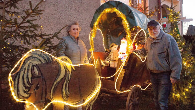 Weihnachtskutsche mit Pony und Lichterketten im Garten von Heiderose und Manfred Jander. Im Hintergrund die Pyramide.