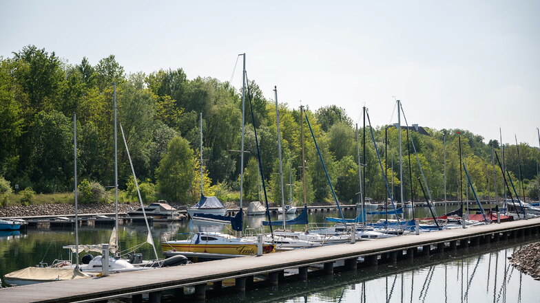 Auch unter der Woche sind die Bootsplätze im Hafen Görlitz derzeit gut belegt.