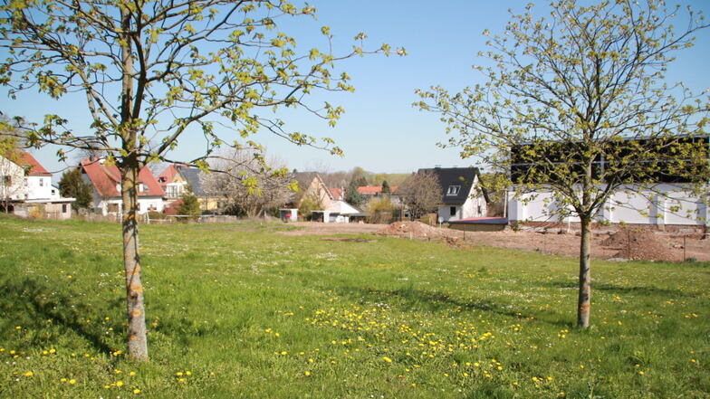 Diese grüne Wiese in Possendorf soll teilweise bebaut werden. Bis 2008 existierte an dieser Stelle die Gaststätte "Transit".
