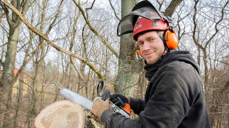 Kamenz: Er sorgt für Baumschnitt und grüne Dächer - deutschlandweit
