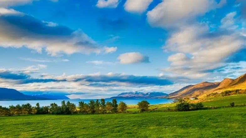 Wilde Schönheit: Fjorde, Klippen, Land und Meer.