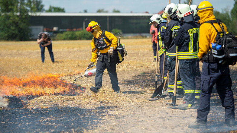 Die Freiwillige Feuerwehr Coswig bei einer Übung zur Bekämpfung von Flächenbränden in Neusörnewitz im Jahr 2019.
