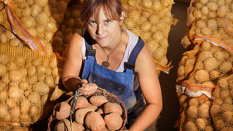 Die Kartoffellager-Chefin bei Budissa, Beatrice Kießetz, kann stolz auf die Ernte 2018 sein. Und die Vorstände Matthias Friedrich und Udo Weber freuen sich über 1,8 Millionen Euro Nettogewinn im Geschäftsjahr 2017/18.