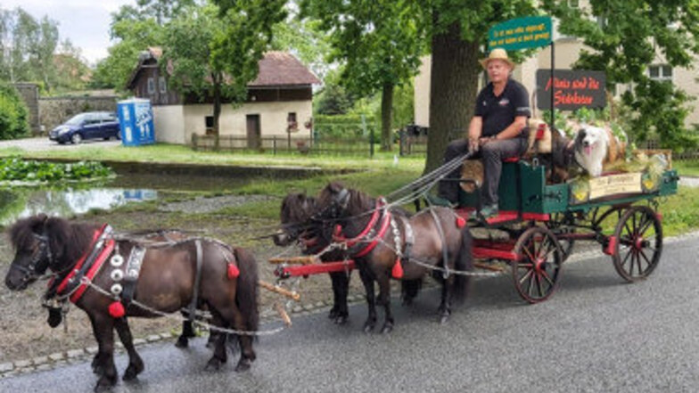 Mit einem Ponygespann fuhr Winfried Matutat am Sonntag durch Walddorf und Eibau. Eigentlich sollten noch mehr Teilnehmer dabei sein, auch ein Bierwagen.