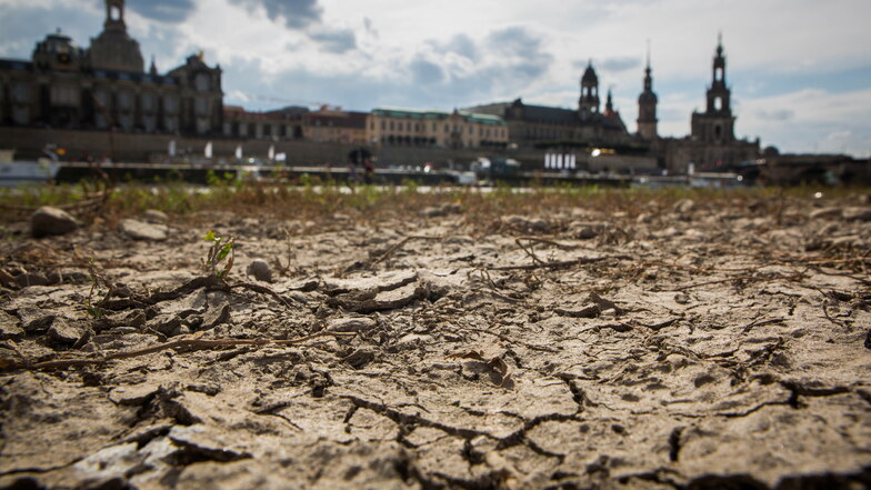 Trockene und heiße Sommer sind in Dresden nicht mehr selten. Das schlägt auf die Gesundheit. In der Landeshauptstadt wird an Lösungen geforscht.