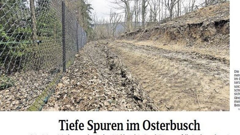 So sah der zwischen Osterbusch und den Grundstücken gelegene Weg im April 2017 aus, nachdem die Fällarbeiten beendet waren.