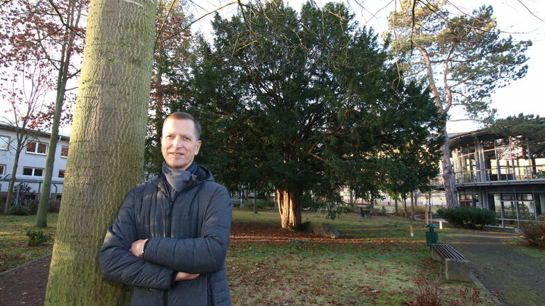 Seltene Bäume findet Schulleiter Michael Höhme gleich vor der Haustüre. Im Park des Lessinggymnasiums waren sie wahrscheinlich nach dem Bau der Schule vor 150 Jahren gepflanzt worden.