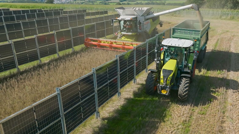 In Süddeutschland hat das Unternehmen Next2Sun bereits mehrere Agri-Photovoltaikanlagen errichtet. Jetzt folgt die erste in Ostdeutschland.